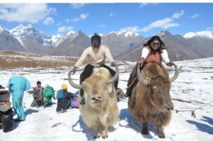 "4 Days Manali Himalayan Adventure: Nature, Thrills, and Culture"