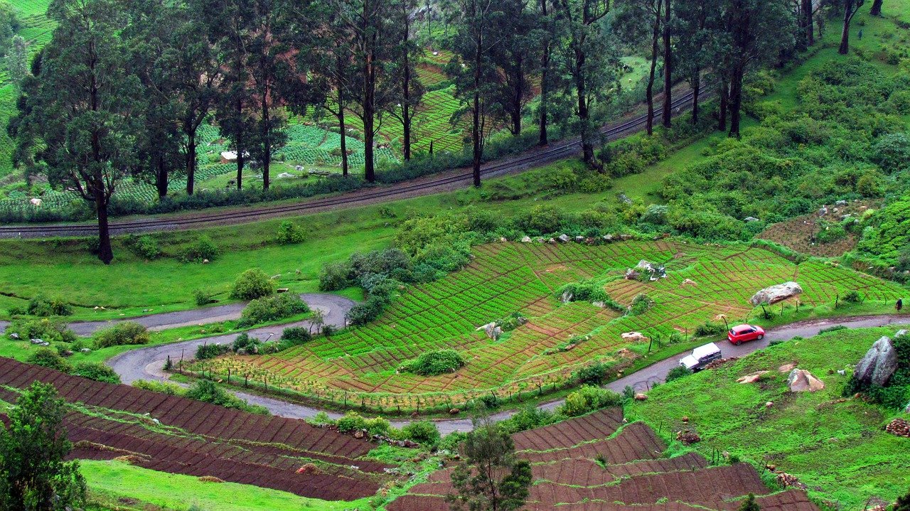 2 days Ooty Enchantment: Discovering Nature's Beauty