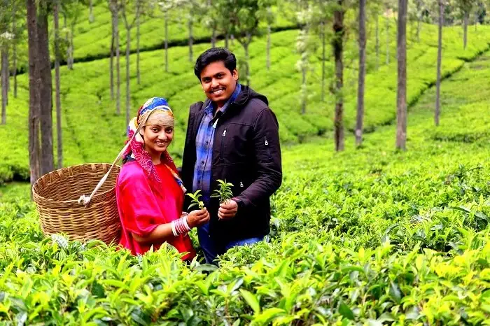 Ooty Honeymoon 3 Days