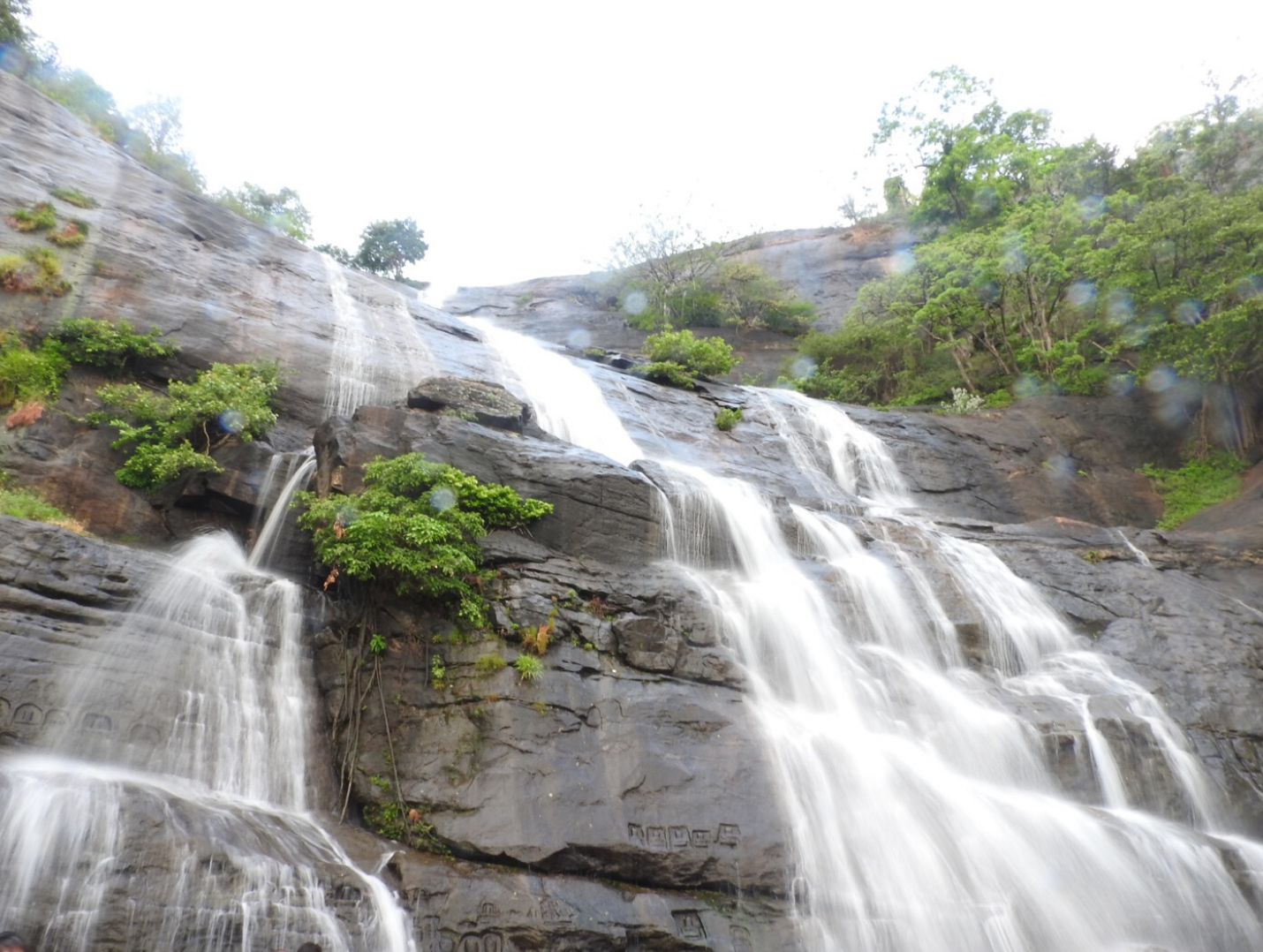 "Nature's Embrace: A 6-Day 5-Nights Adventure in Kodaikanal"