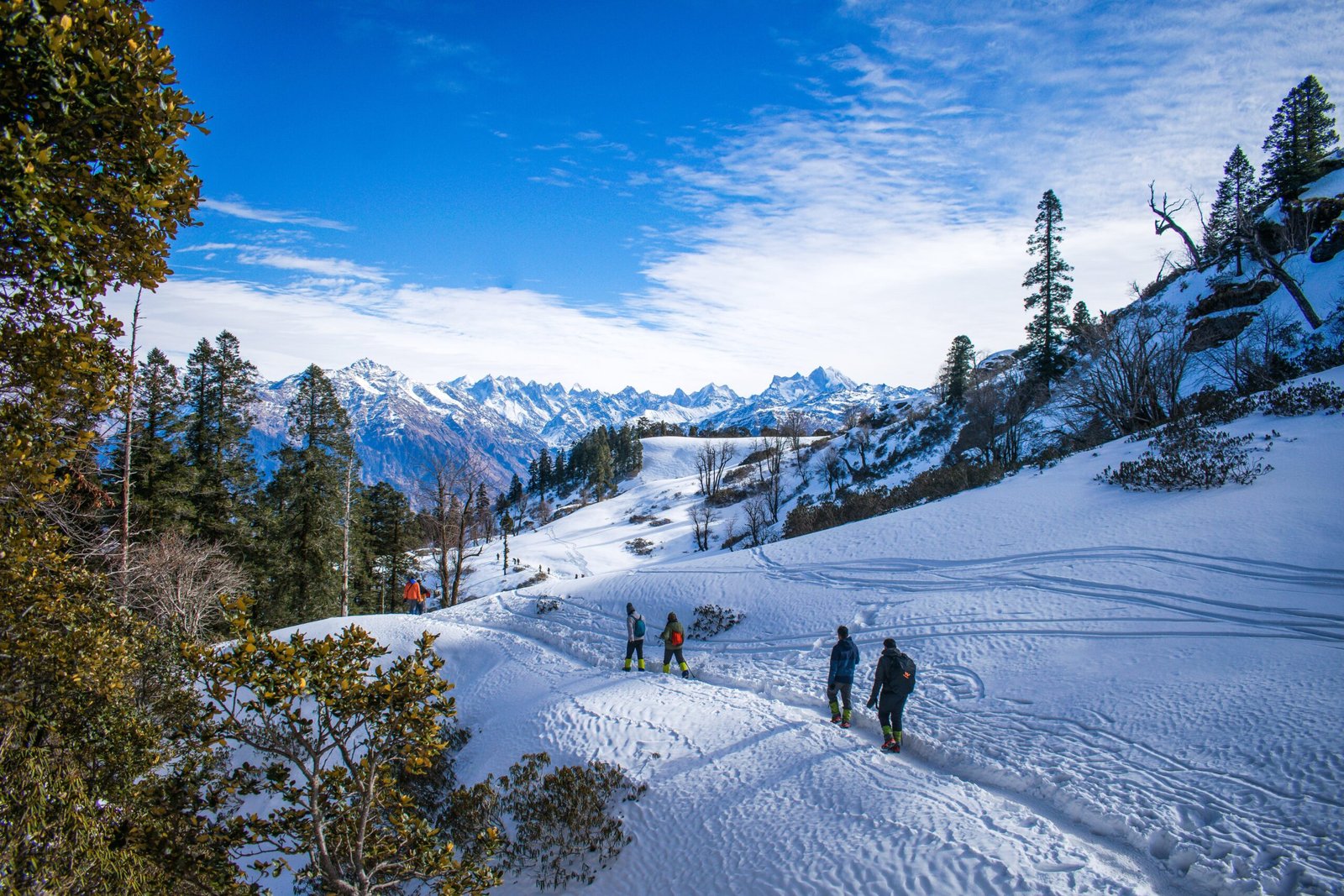 Paradise for couples: Shimla, Kullu, and Manali honeymoon packages