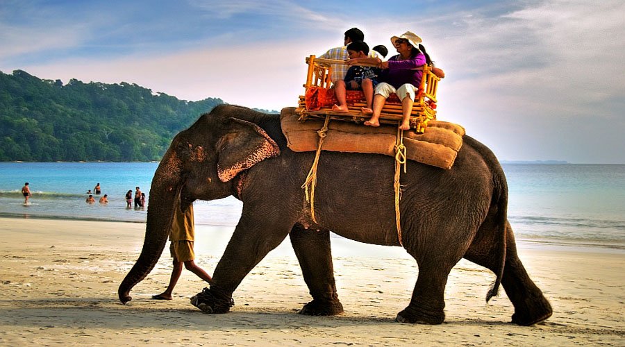 Blissful Andaman Travel Package 4 Days & 3 Nights